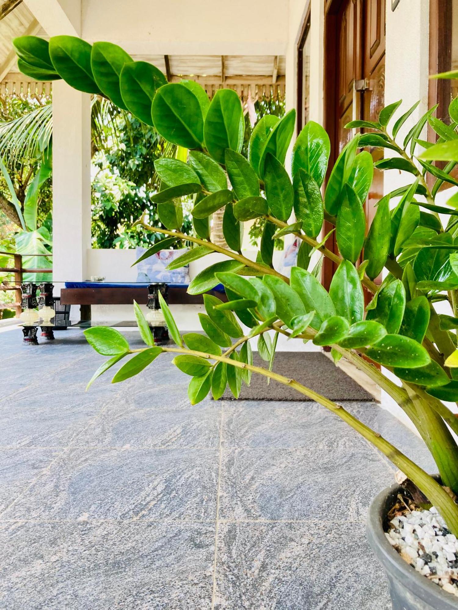 Mountain Seaview Cabanas Tangalle Exteriör bild