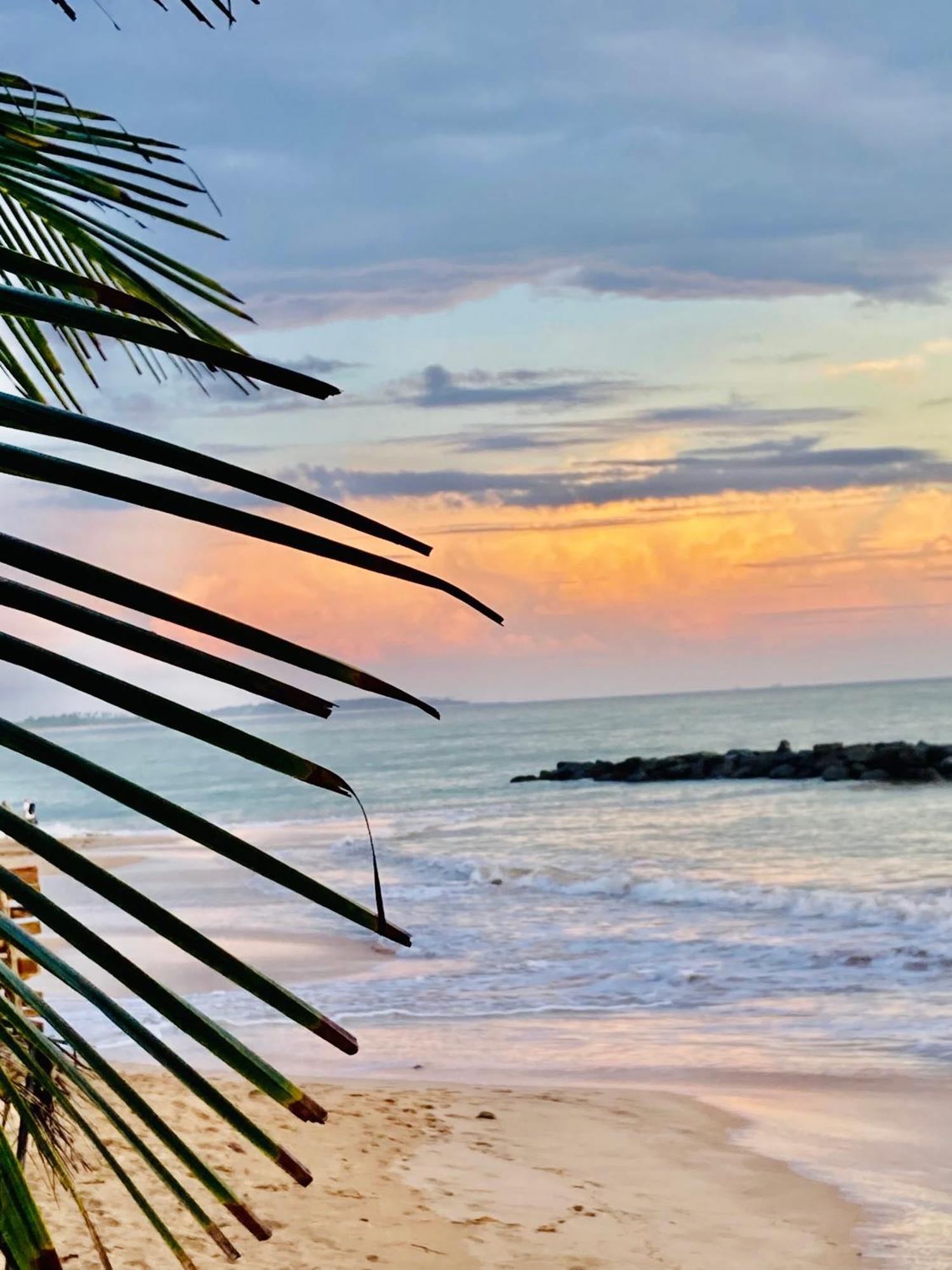 Mountain Seaview Cabanas Hotell Tangalle Exteriör bild