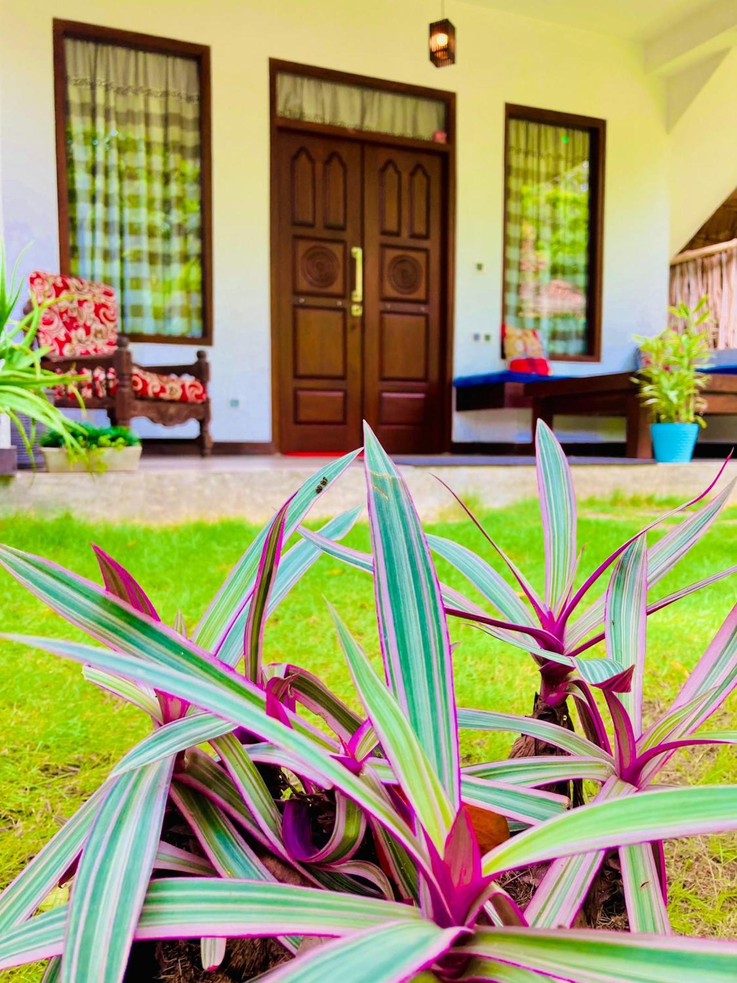 Mountain Seaview Cabanas Tangalle Exteriör bild