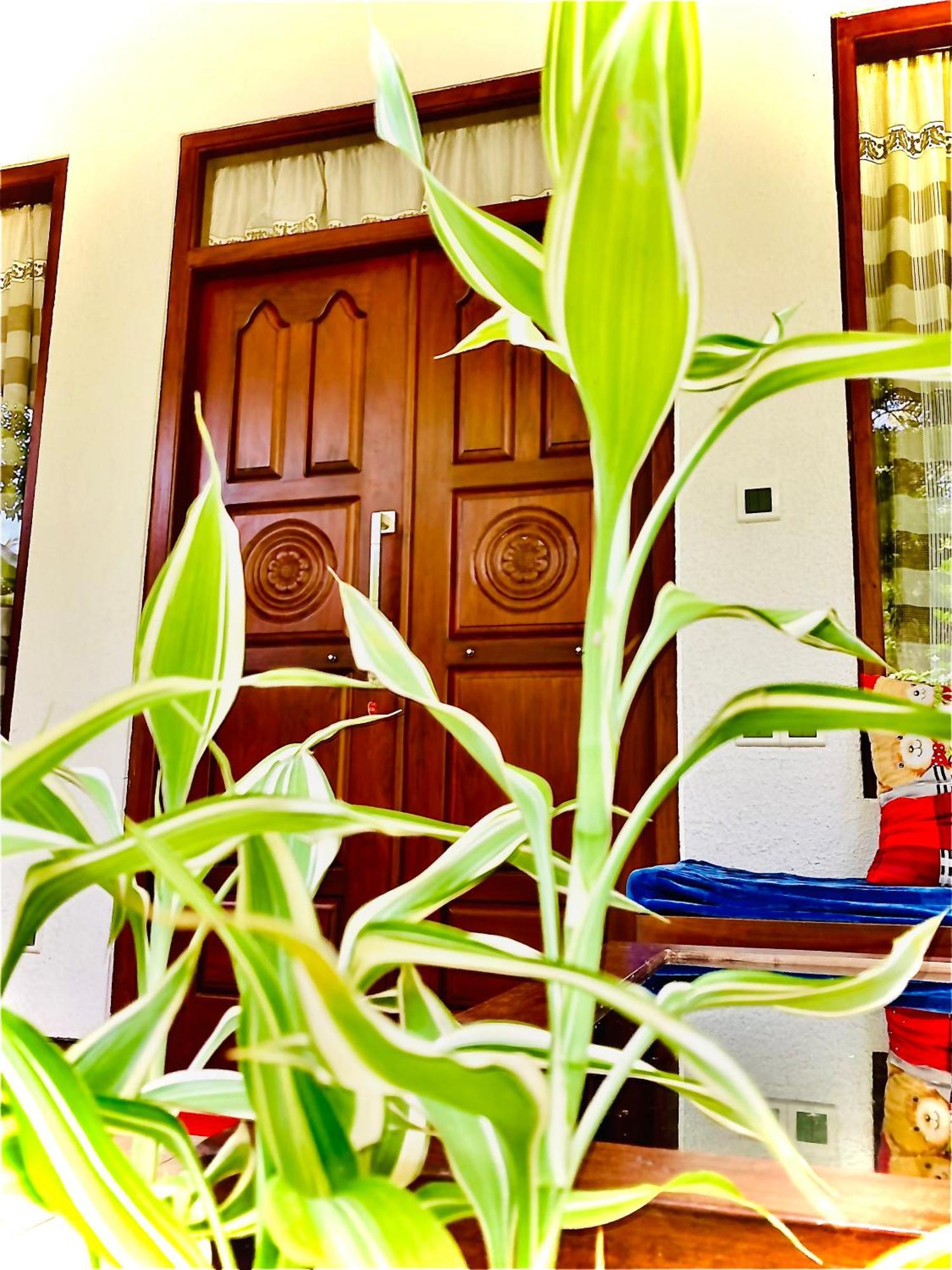 Mountain Seaview Cabanas Tangalle Exteriör bild