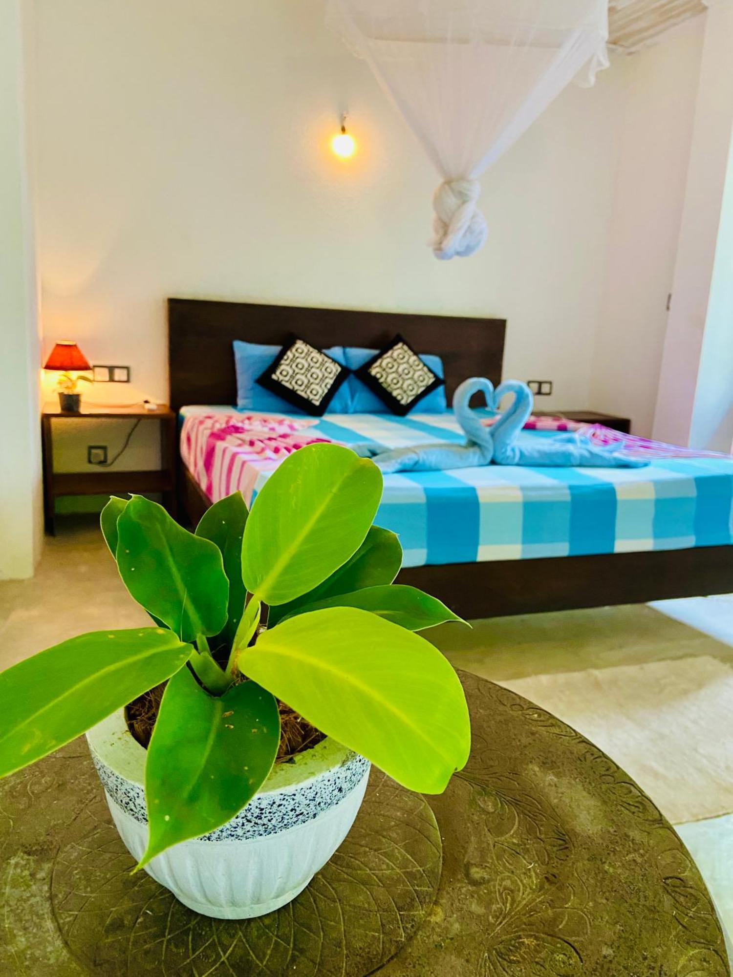 Mountain Seaview Cabanas Tangalle Exteriör bild